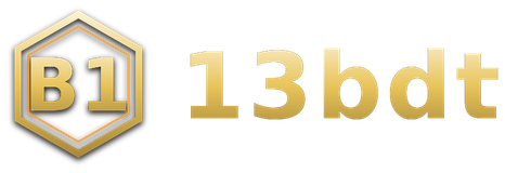 13bdt logo